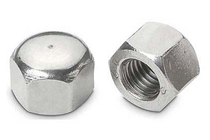 Hex Cap Nuts