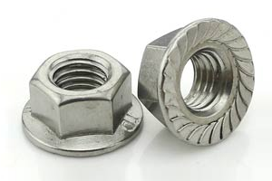 Hex Flange Nuts