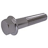 DIN Bolts